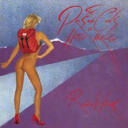 Cover of The Pros And Cons Of Hitch Hiking
