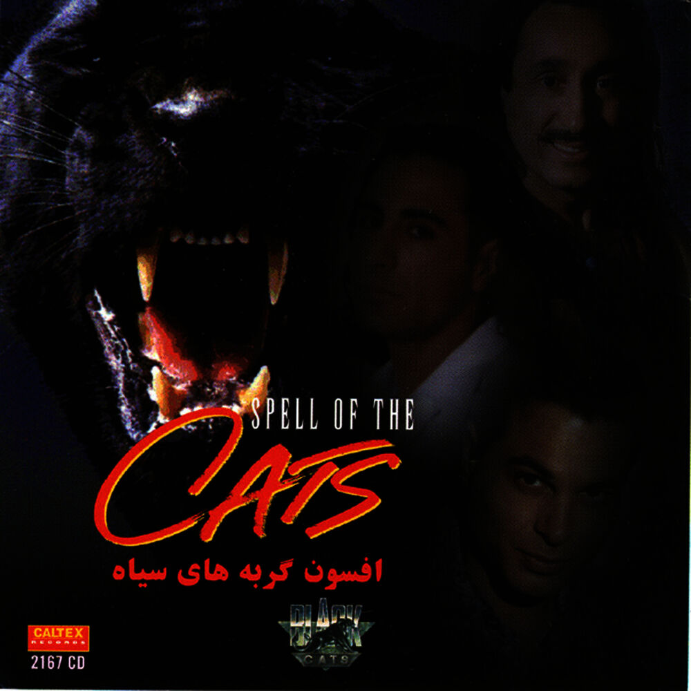 Picture of Afsoon (Spell Of The Cats) - Persian Music