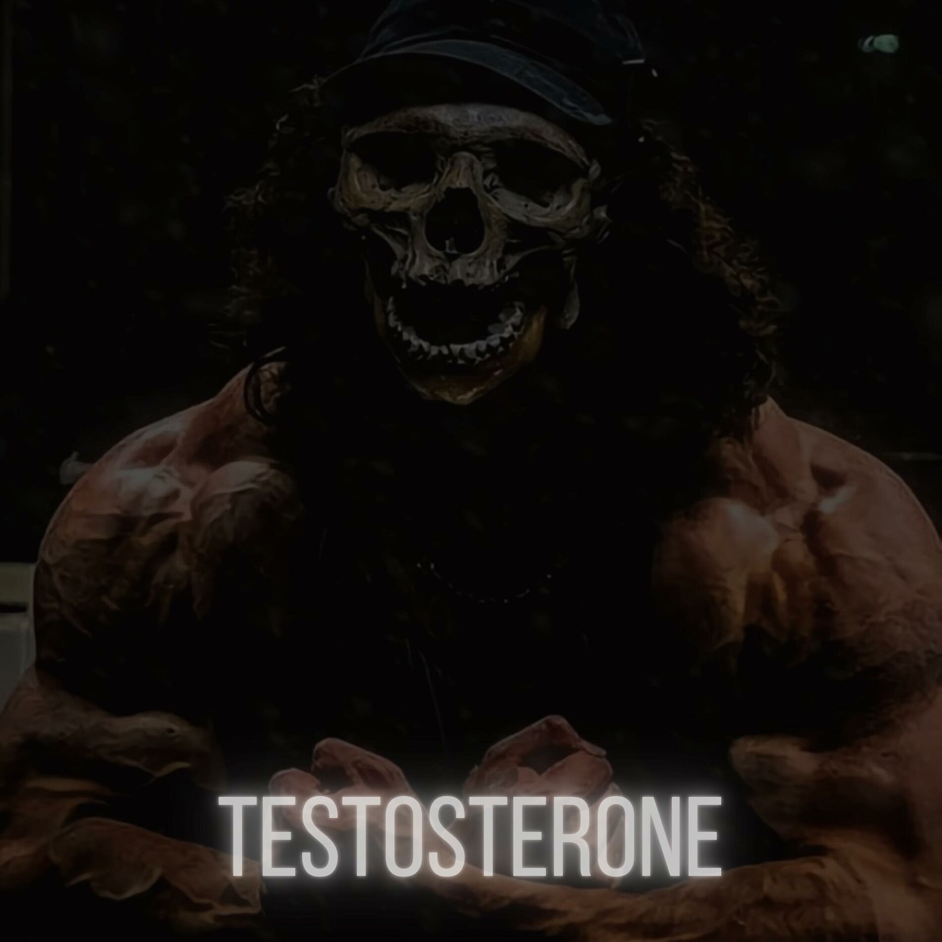 Album cover of TESTOSTERONE