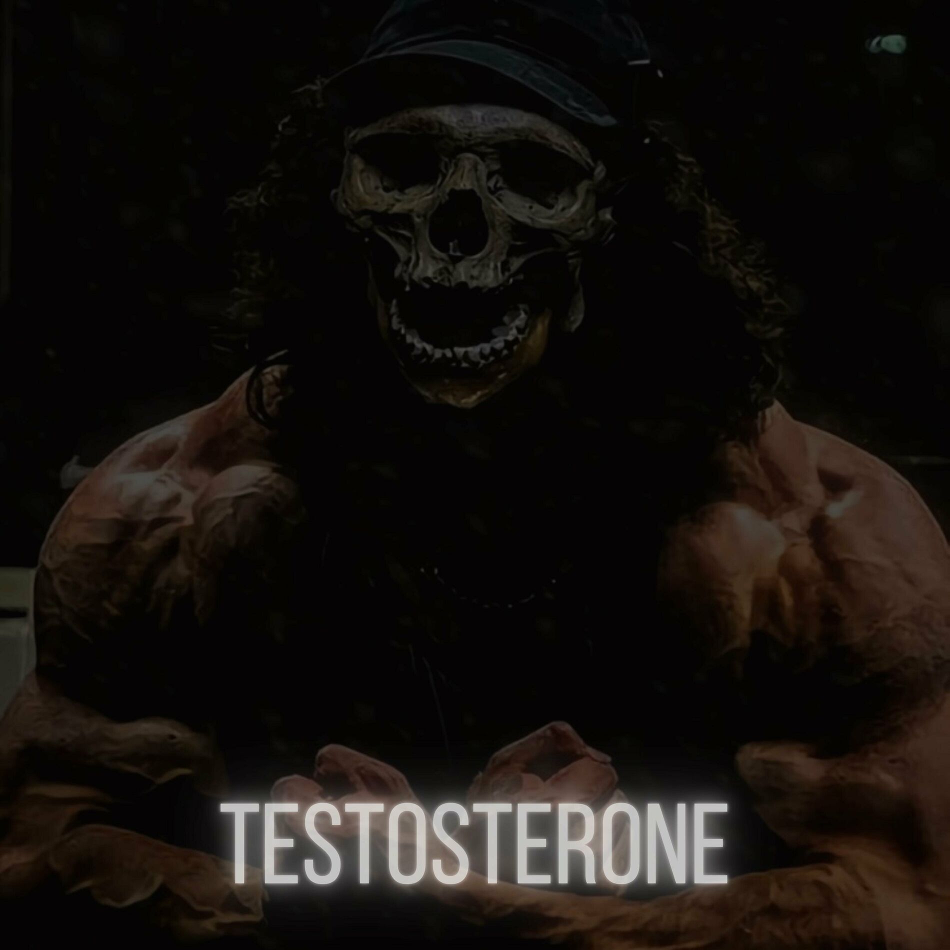 Album cover of TESTOSTERONE