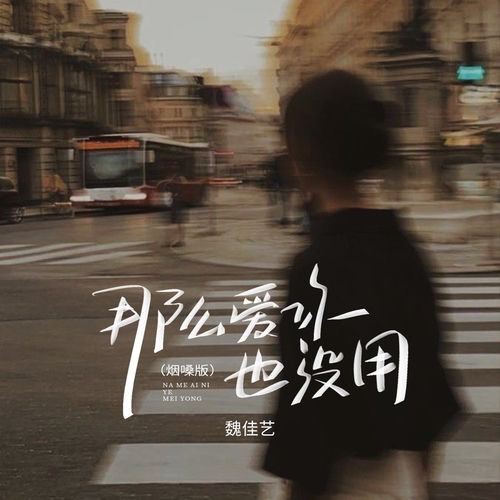 那么爱你也没用 (烟嗓版)