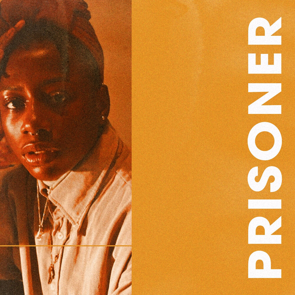 Picture of Prisoner