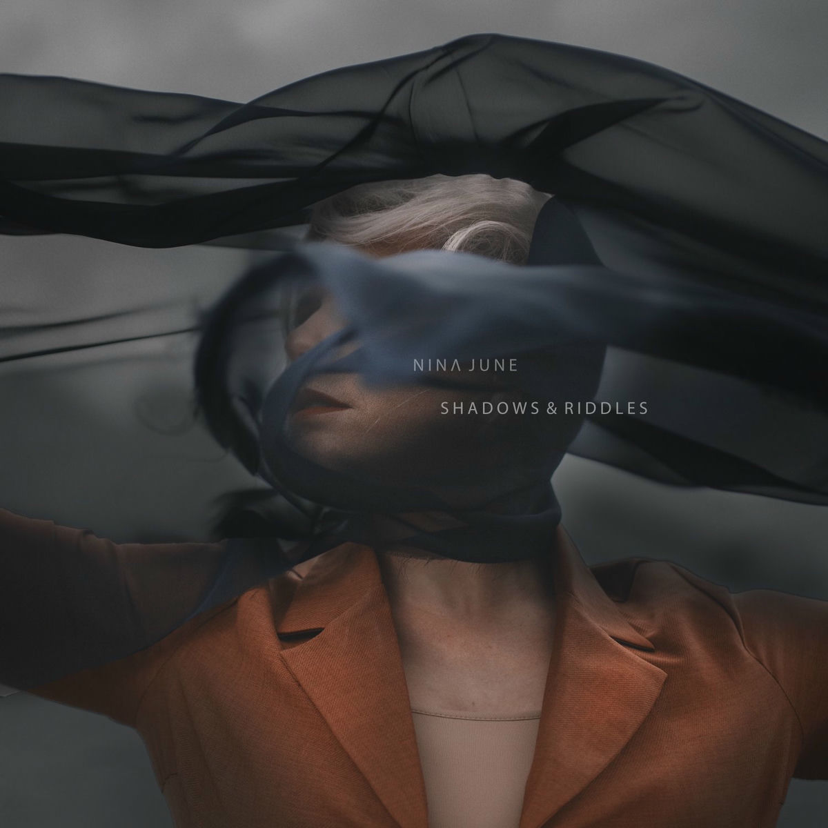 Album cover of Summersnow