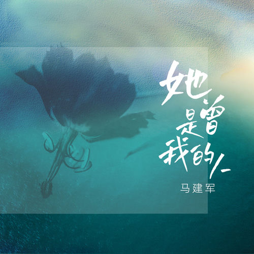 她曾是我的人 (DJheap九天版)