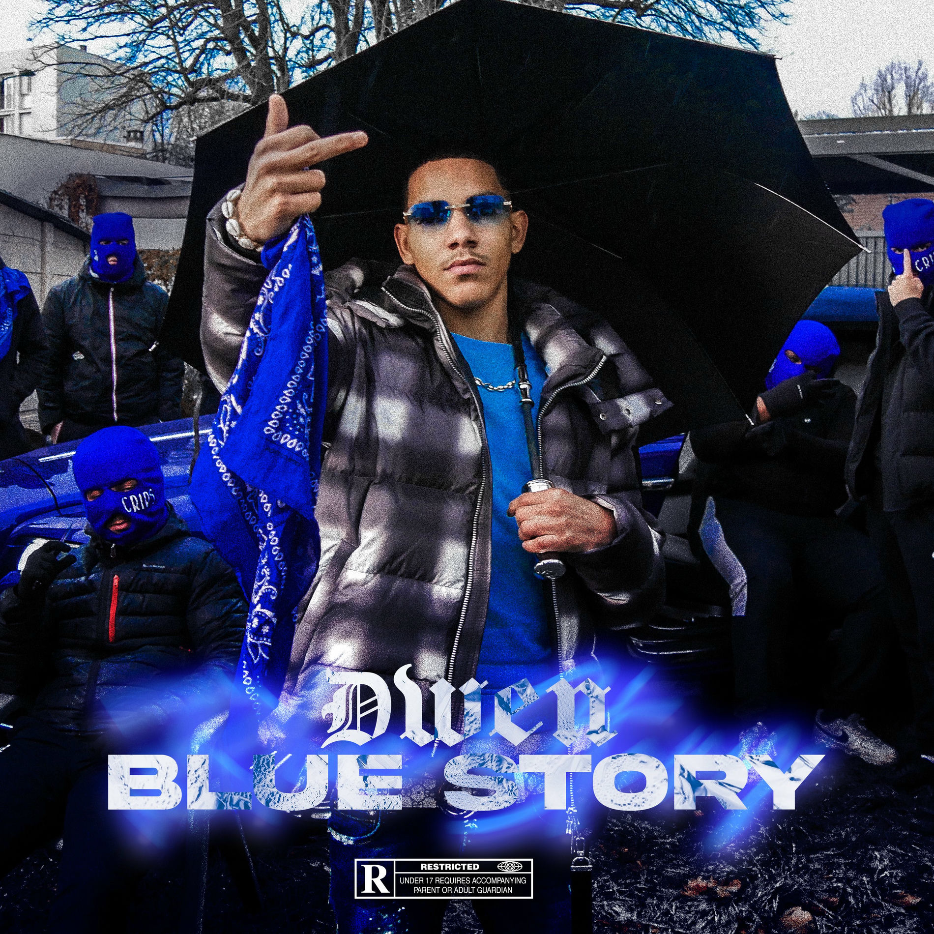 Album cover of Blue Story