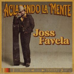 Cover of Aclarando la Mente