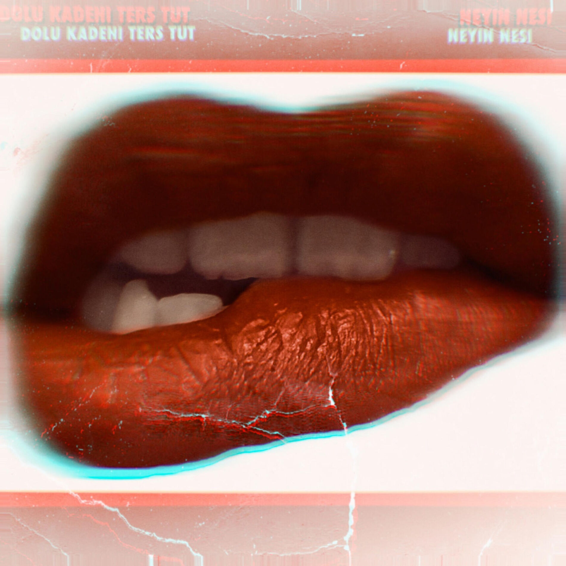 Album cover of Neyin Nesi
