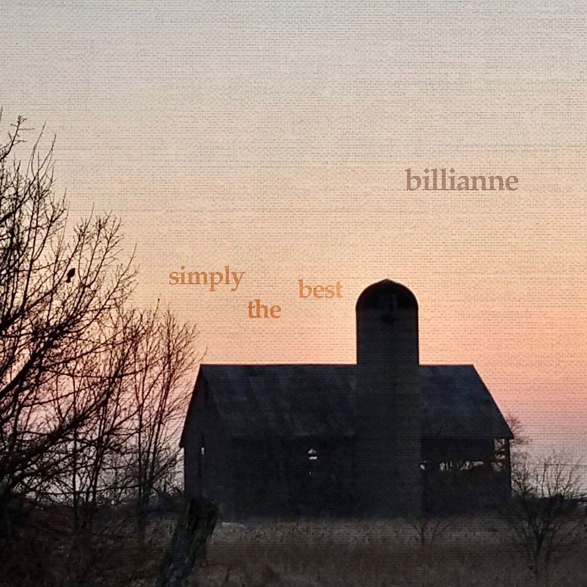 Album picture of Simply The Best