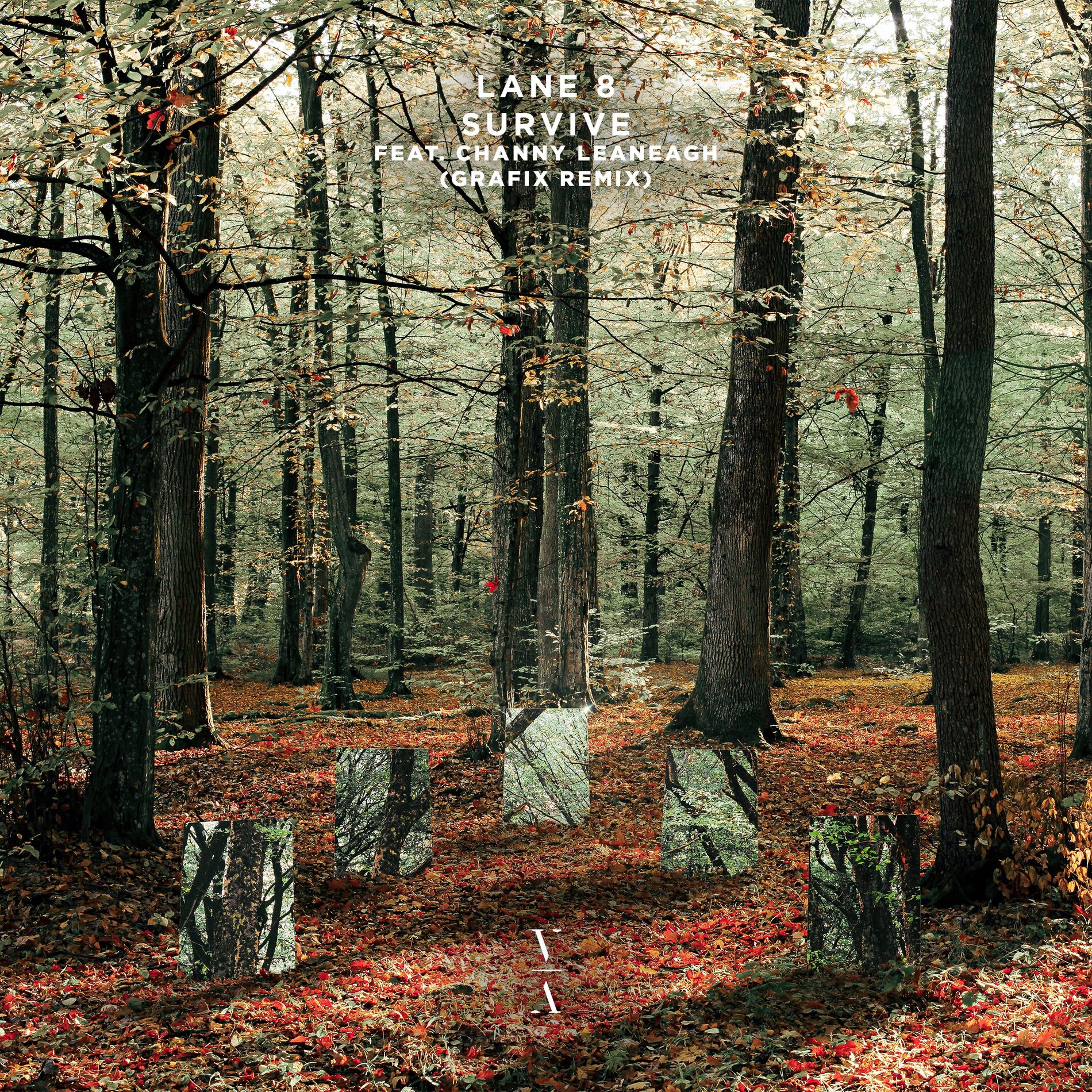 Album cover of Survive (Grafix Remix)