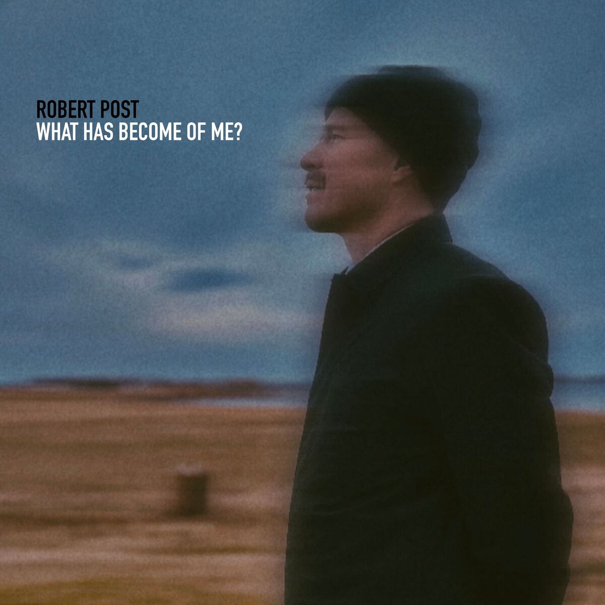 Album cover of What Has Become Of Me?