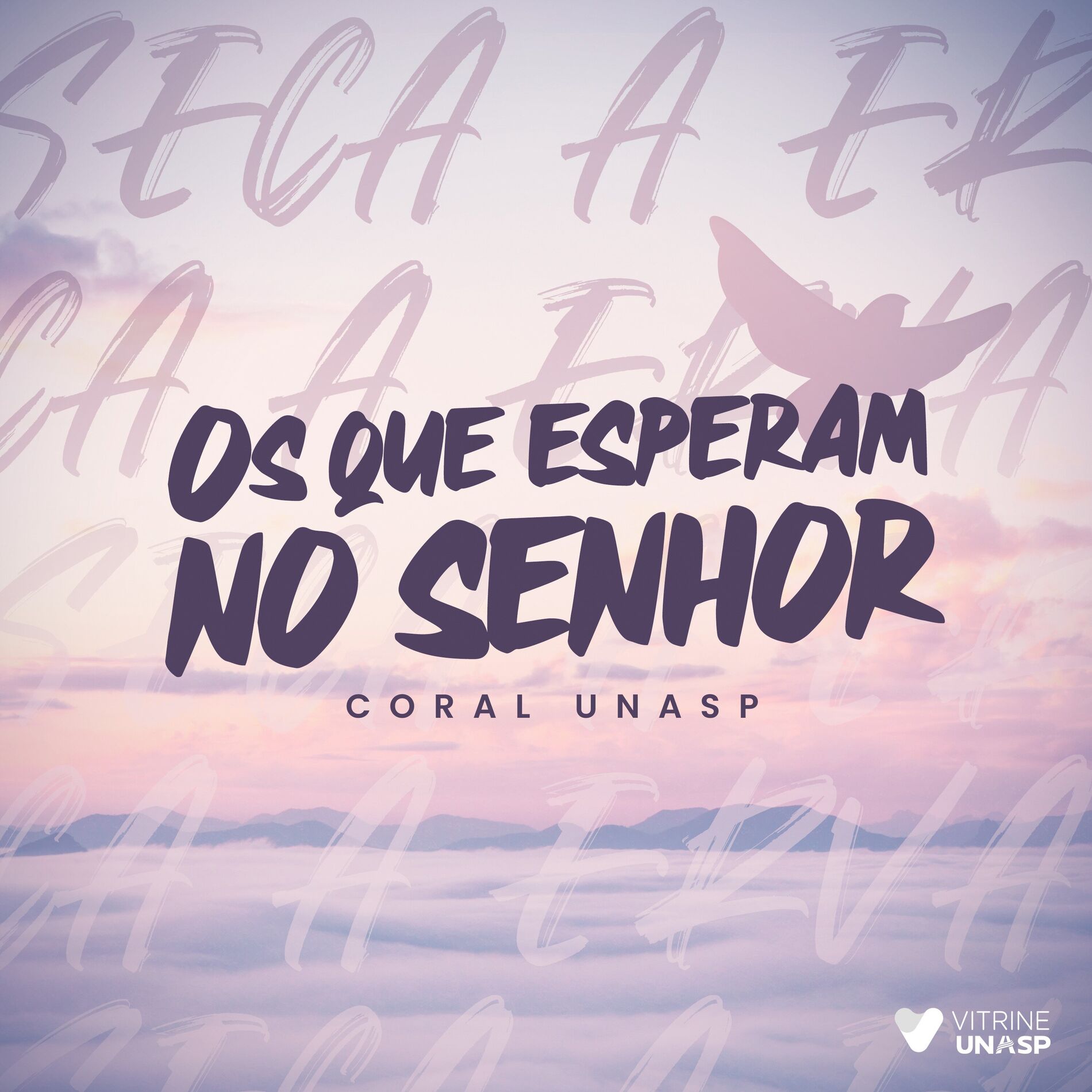 Album cover of Os Que Esperam no Senhor