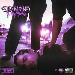 Cover of Diamond in the Rough (Chopped Not Slopped)
