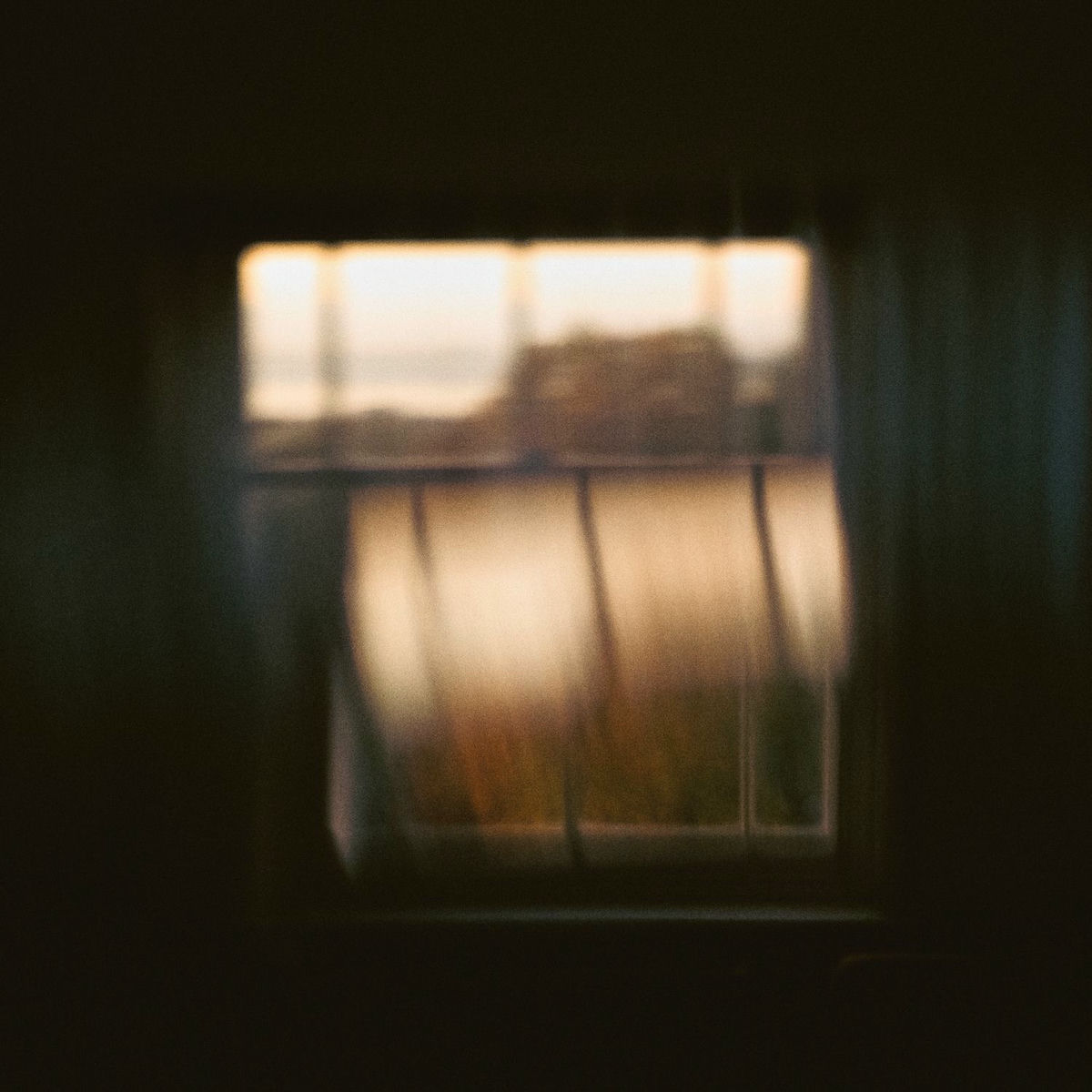 Album cover of Strange Kind Of Creature