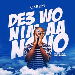 Cover of De3 Wo Nim Ah Nono