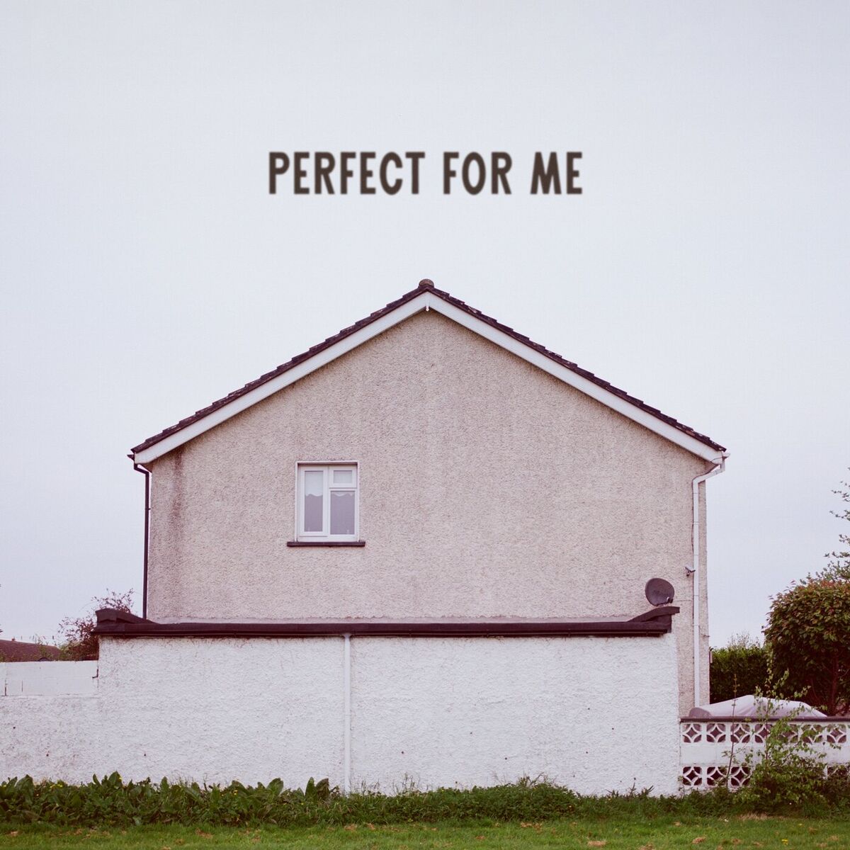 Album cover of Perfect For Me