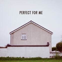 Cover of Perfect For Me