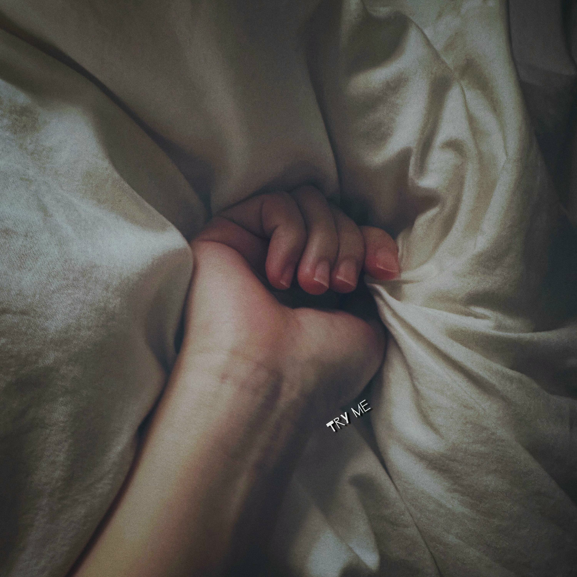 Album picture of Try Me