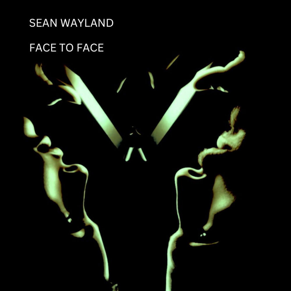 Album artwork for Bent Peg in a Round Hole by Sean Wayland
