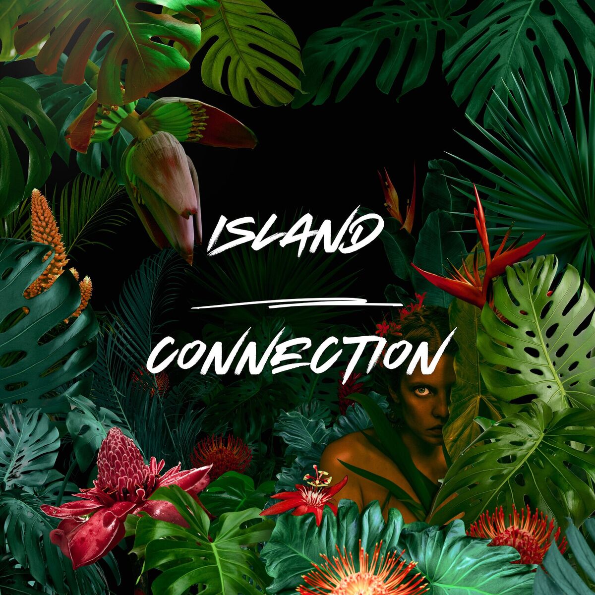 Album cover of Island Connection
