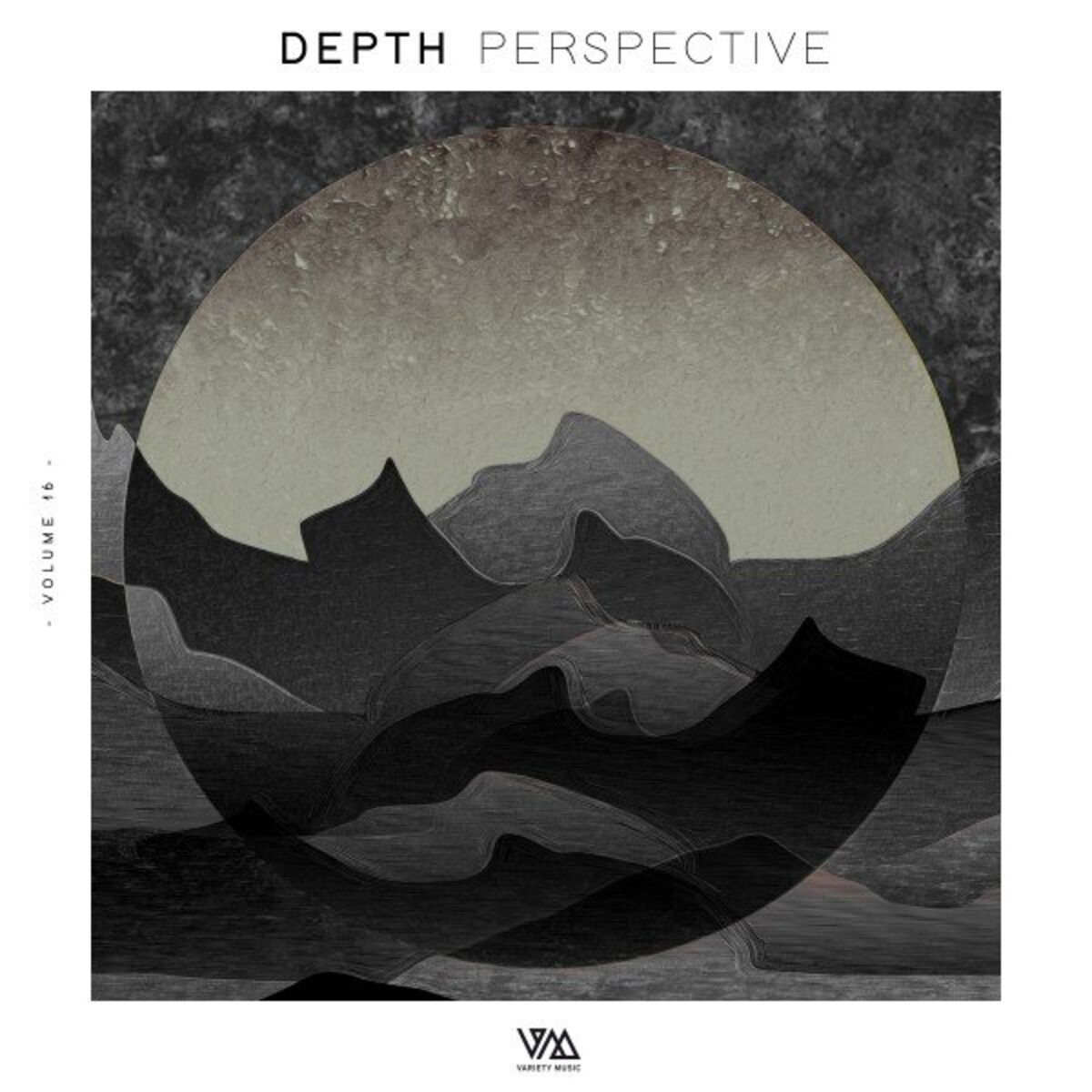 Album cover of Depth Perspective, Vol. 17