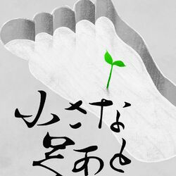 Cover of Small footprints
