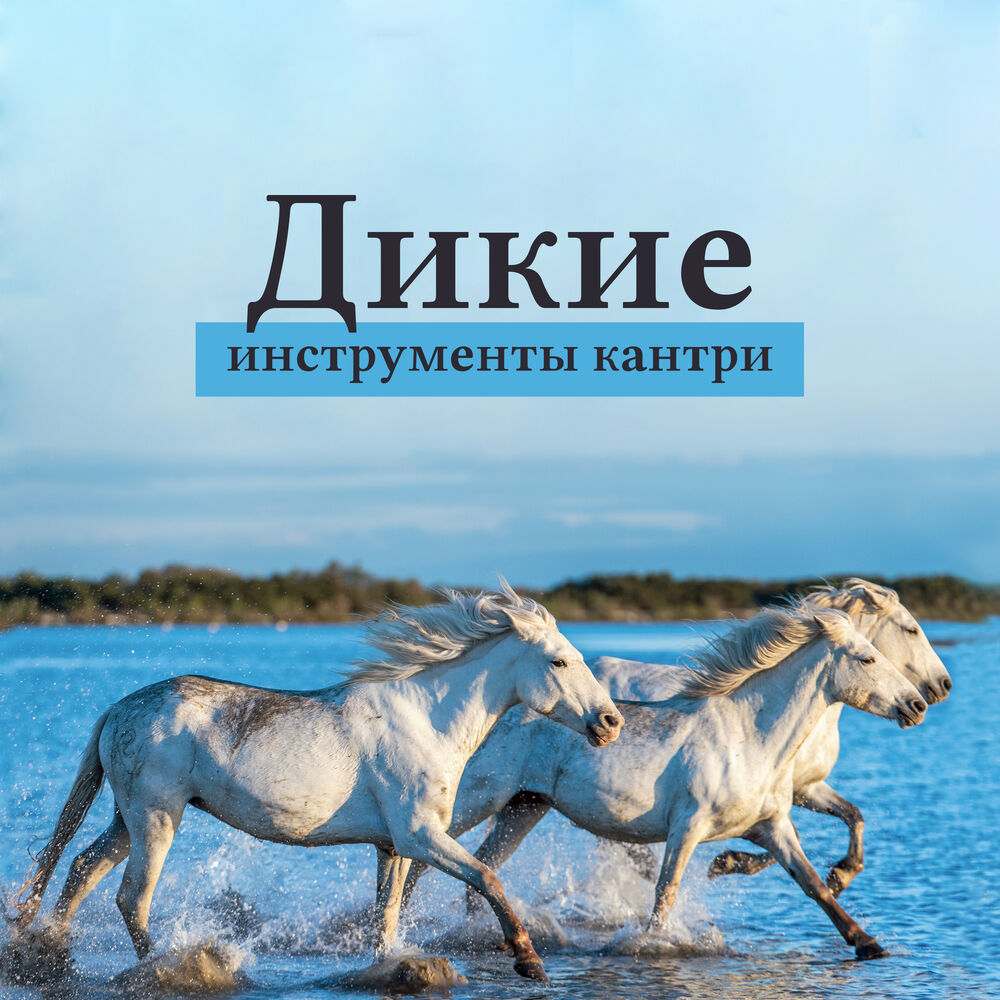 Picture of Дикие инструменты кантри: Традиционная музыка Запада, Римичное и позитивное кантри 2019, Танцы