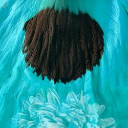 Cover of Oas