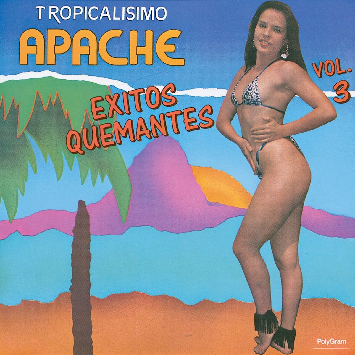 Album cover of Exitos Quemantes III