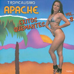 Cover of Exitos Quemantes III
