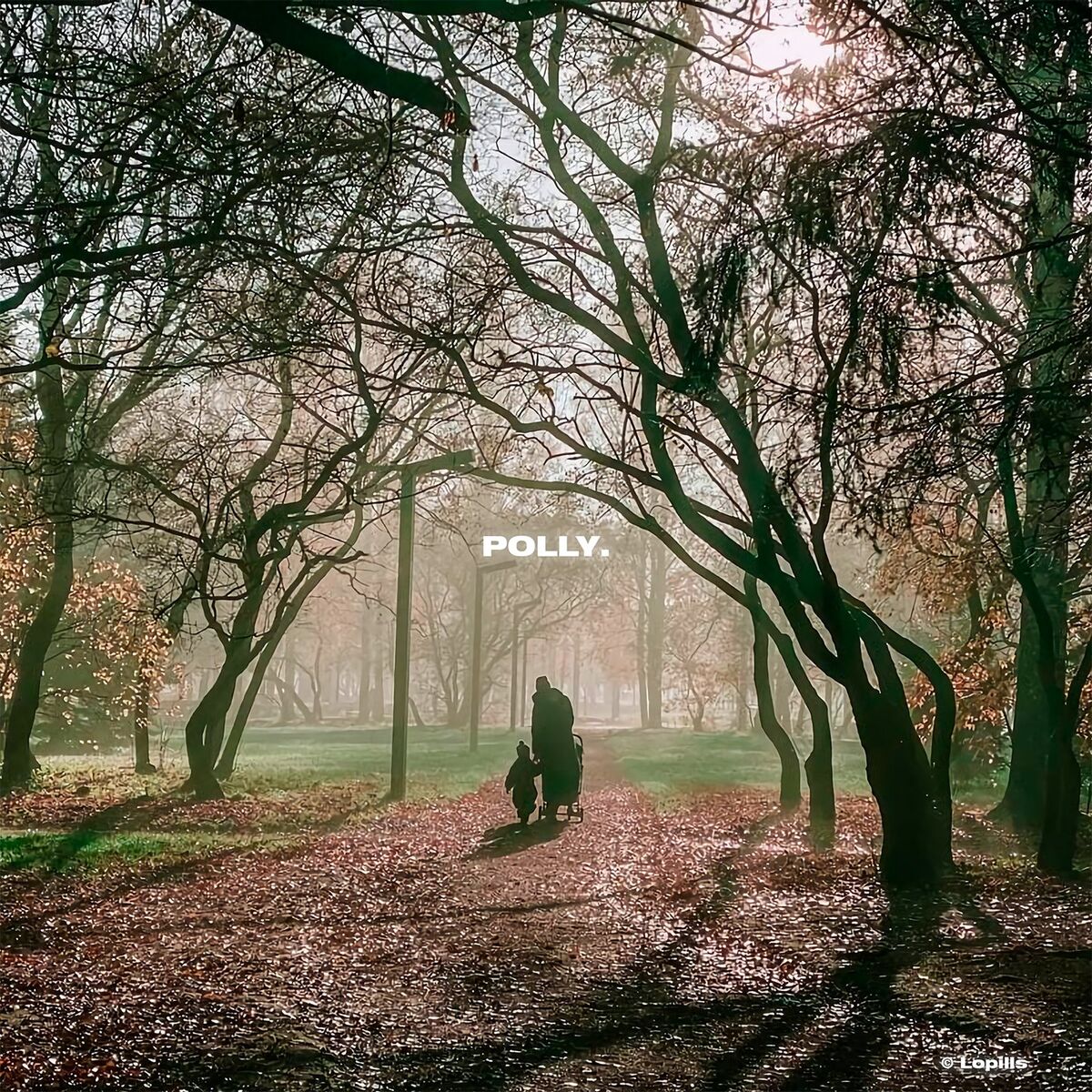 Album cover of Polly
