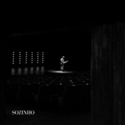 Cover of sozinho