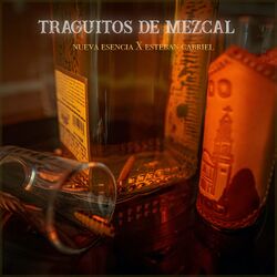 Cover of Traguitos De Mezcal