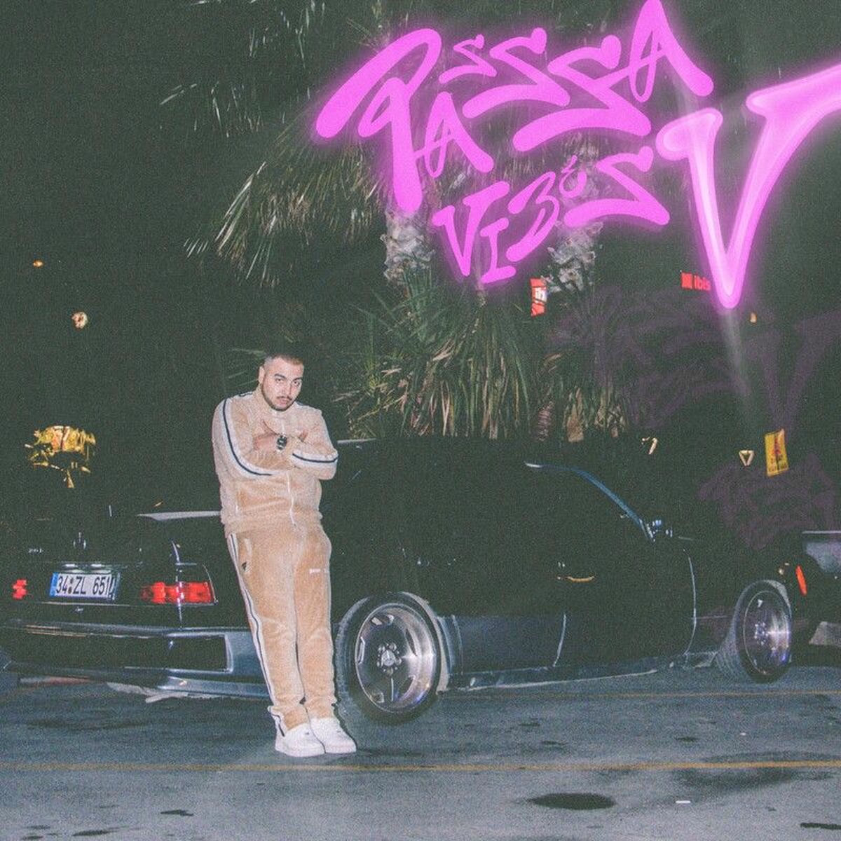 Album cover of PA$$$A VIBES V