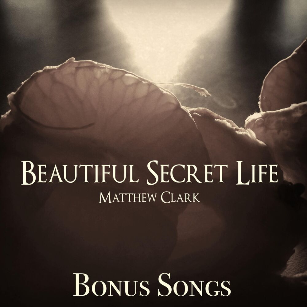Picture of Beautiful Secret Life (Bonus Songs)