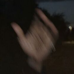 Cover of Filled with Pricks