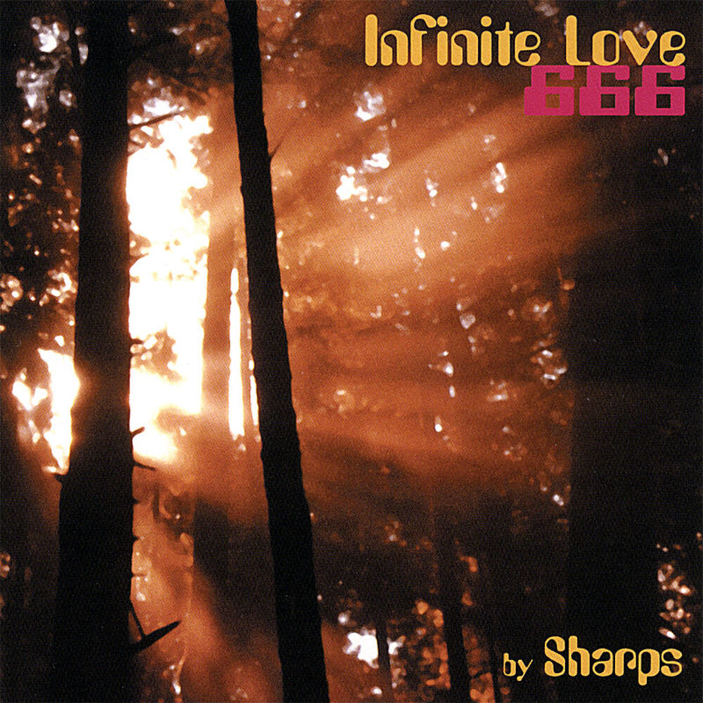 Picture of Infinite Love 666