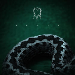 Pochette album