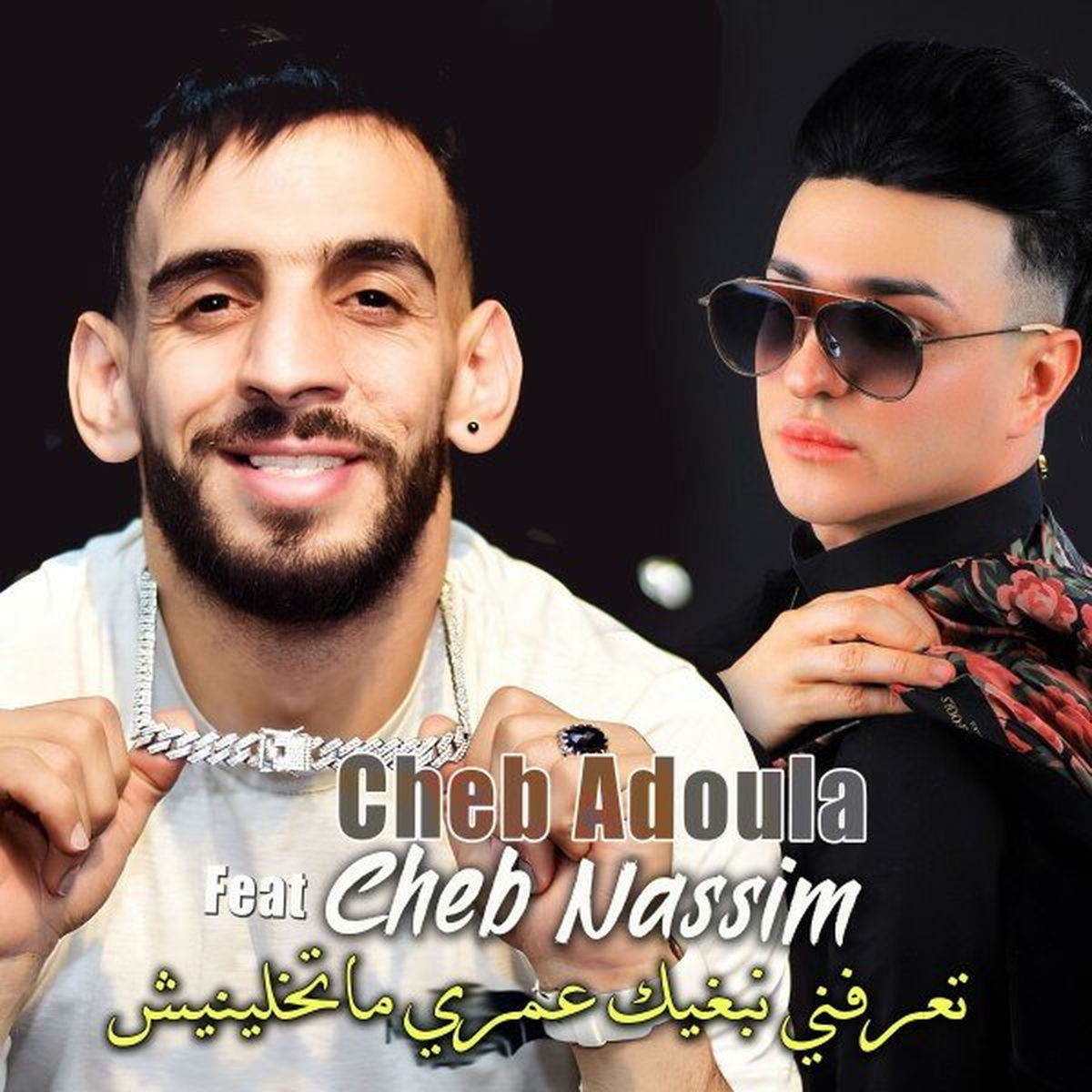 Album cover of تعرفني نبغيك عمري ماتخلينيش