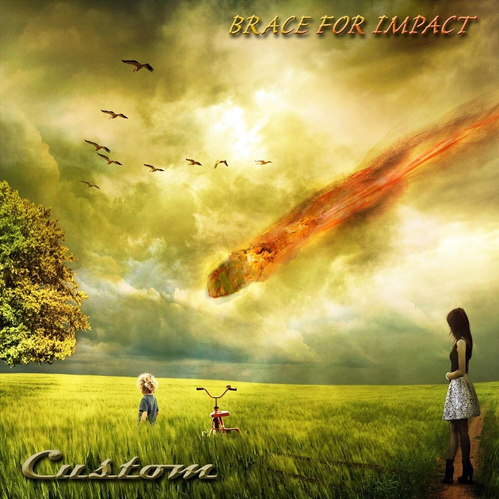 Picture of Brace for Impact