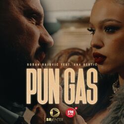 Cover of Pun gas