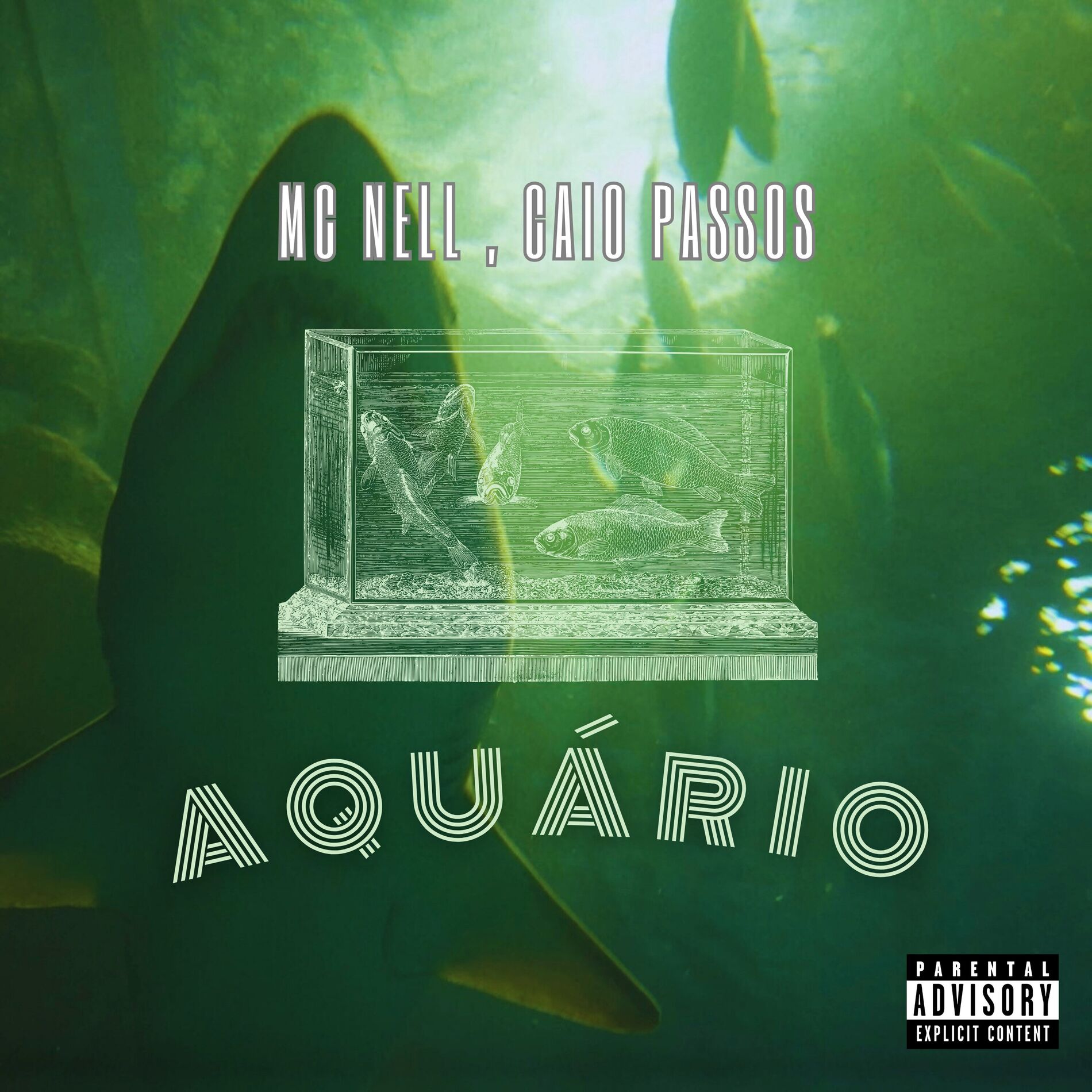Album cover of Aquário