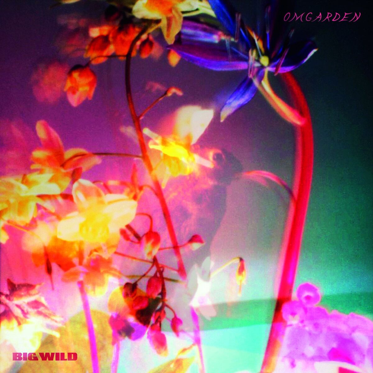 Album cover of OMGarden