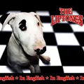 Moon Ska