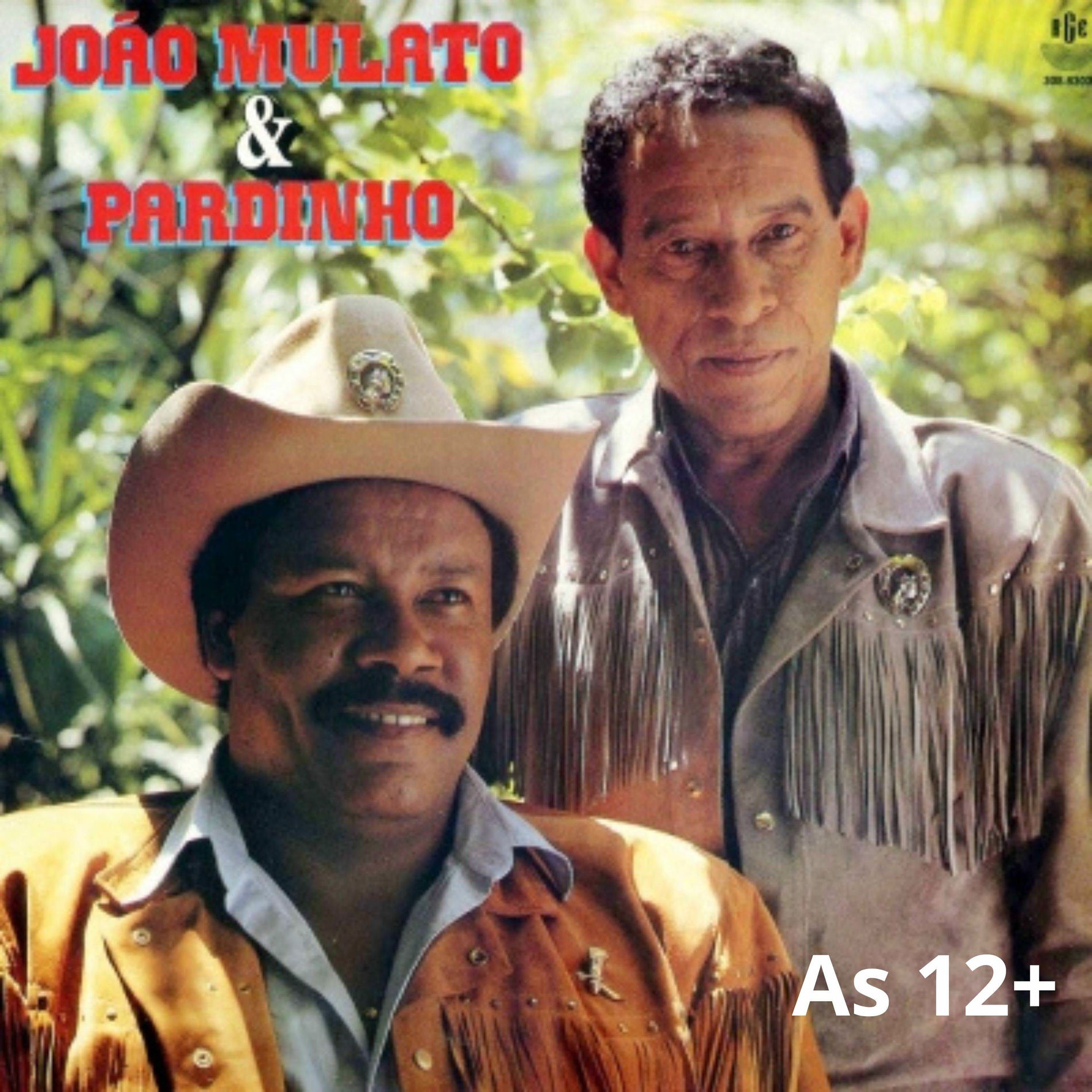 Album cover of João Mulato e Pardinho As 12+