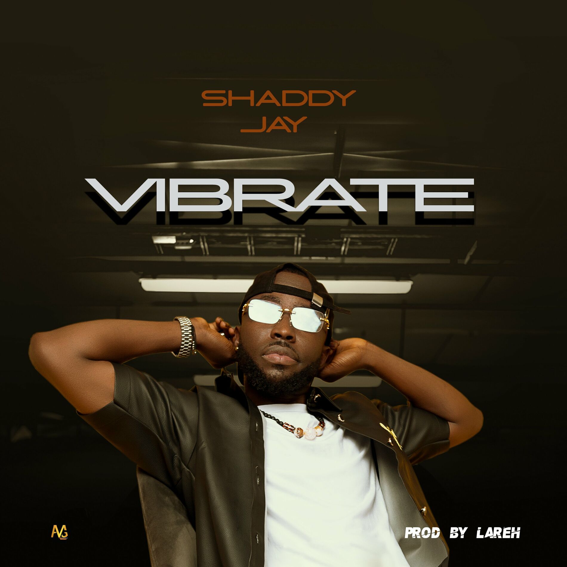 Album cover of Vibrate