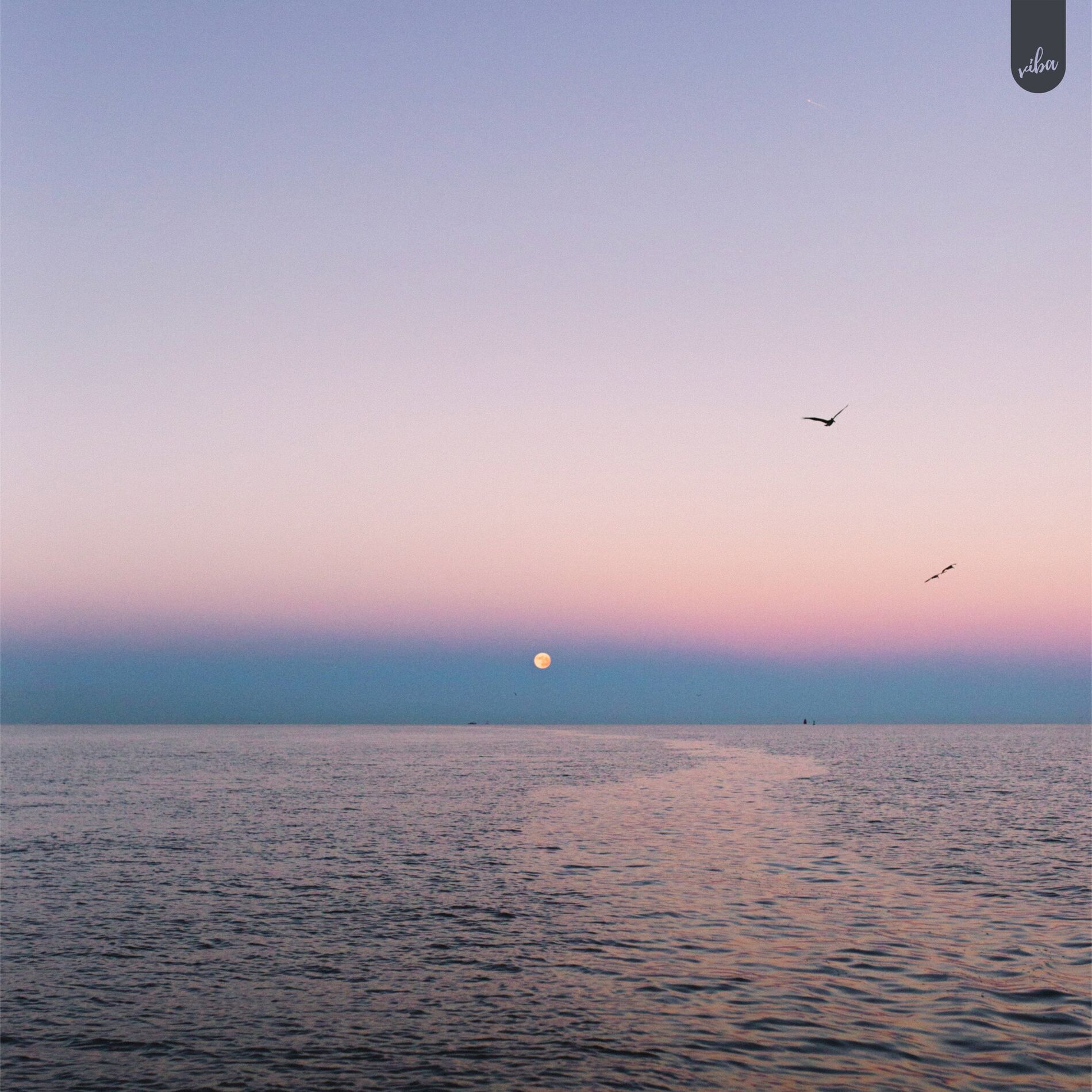 Album cover of Blue Hour