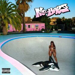 Cover of No Bars