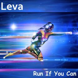 Cover of Run If You Can