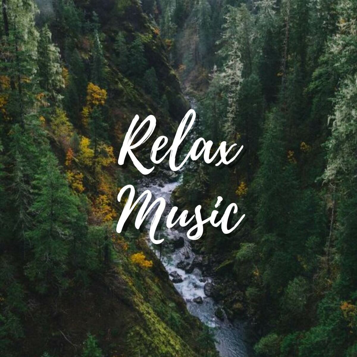 Album cover of Calming Sleep Music