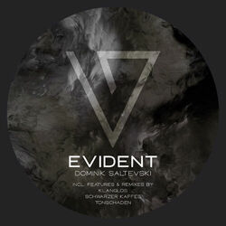Cover of Evident